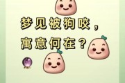 梦到恶犬是什么意思_被狗咬了怎么办