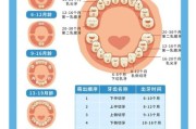 宝宝几个月开始长牙_长牙晚正常吗