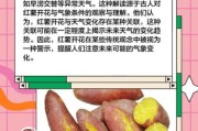 梦到买红薯是什么意思_梦见买红薯周公解梦