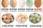 鸡蛋图片大全_鸡蛋品种怎么区分