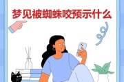怀孕梦到蜘蛛是什么意思_孕妇梦见蜘蛛预示什么