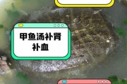 宝宝能喝甲鱼汤吗_甲鱼汤适合多大婴儿