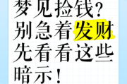 梦到丢了钱是什么意思_梦到钱丢了预示什么