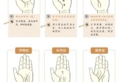手纹图片大全_手相图解怎么看