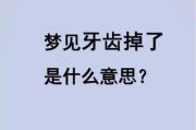 做梦梦到牙齿掉了_梦到牙齿松动是什么意思