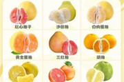 柚子图片大全_柚子品种怎么区分