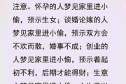 梦到家里进小偷是什么意思_梦见家里被盗预示什么