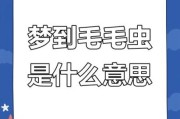 梦到汗毛长得特别长_周公解梦汗毛变长预示什么