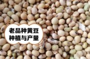 大豆图片大全_如何识别不同品种