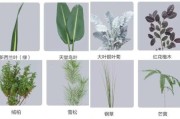 草木图片大全_如何识别常见植物