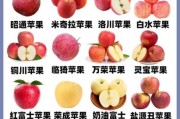 苹果图片大全_苹果品种图片及名称