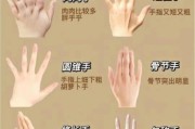 手指头图片大全_手指类型图解