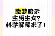 怀孕梦到男孩是胎梦吗_预示生男还是心理暗示