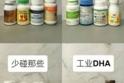 宝宝有必要吃dha吗_婴儿dha补充指南