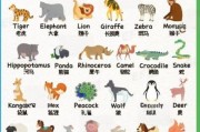 动物大全图片有哪些_如何快速识别常见动物