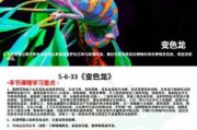 变色龙图片大全_变色龙为什么变色