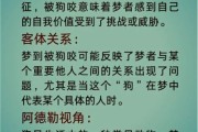 梦到被狗咬了手_是什么预兆