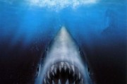 大白鲨迅雷下载_如何找到高清资源
