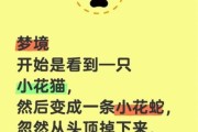 梦到蛇咬猫是什么意思_蛇咬猫梦境解析