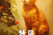 梦到猫好不好_梦见猫是什么意思