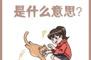 梦到黑猫咬我_梦见黑猫咬手是什么意思