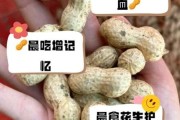宝宝可以吃生花生吗_生花生多大能吃