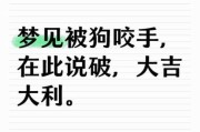 梦到被狗咬住是什么意思_如何化解