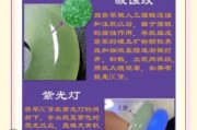 高清翡翠图片大全_如何鉴别真假翡翠
