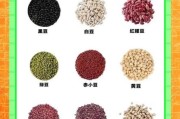 豆类图片大全有哪些_如何识别常见豆类