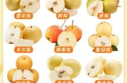 梨图片大全_如何挑选高清梨图