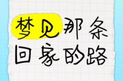 梦到开车回家是什么意思_开车回家梦境解析