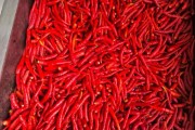 辣椒的图片大全大图_如何挑选新鲜辣椒
