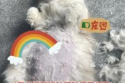 孕妇梦到小猫是什么意思_孕妇梦见小猫生男生女