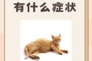 猫咪生宝宝要多久_猫咪生产前有什么征兆