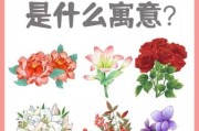 梦到漂亮的花是什么意思_梦见鲜花代表什么