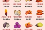 红薯图片大全大图_红薯品种怎么区分