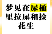梦到上厕所是什么意思_梦到上厕所拉不出来怎么办