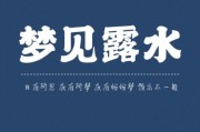 梦到水潭是什么意思_梦见水潭预示着什么