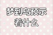 孕妇梦到鸟是什么意思_孕妇梦见鸟是生男生女