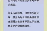 梦到乌龟什么意思_梦见乌龟是吉是凶
