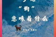 梦到追狗是什么意思_梦到追狗预示什么