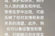 梦到狗头是什么意思_狗头梦境解析
