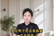 梦到鸭子是什么意思_梦到鸭子是吉是凶