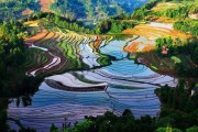 梯田图片大全哪里找_如何拍出震撼效果