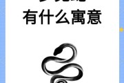 老梦到蛇是怎么回事_老梦到蛇预示什么