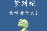 女人梦到蛇是什么意思_女人梦见蛇预示着什么