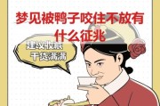 梦到小鸭子是什么意思_梦见小鸭子预示什么