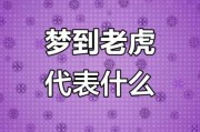 女人梦到老虎是什么意思_女人梦见老虎的预兆
