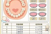 宝宝长牙了怎么办_宝宝长牙顺序