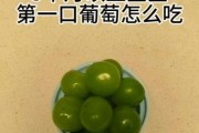 六个月宝宝能吃葡萄吗_葡萄辅食怎么做